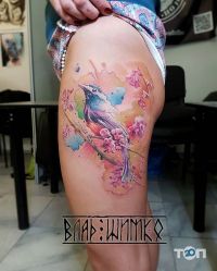 отзывы о Влад Шимко фото