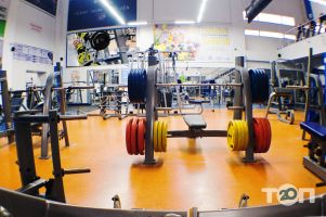 отзывы о Tetra фото