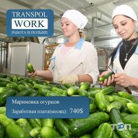 відгуки про Transpol Work фото