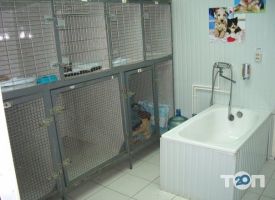 відгуки про Ветеринарна клініка доктора Ушакова фото