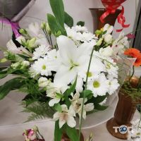 відгуки про Квіткова Галерея фото