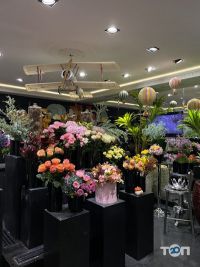 ZELENAГалерея подарунків відгуки фото