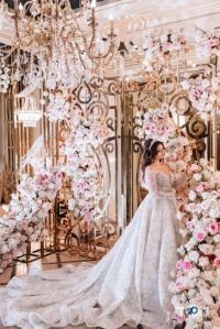 відгуки про Tulip фото