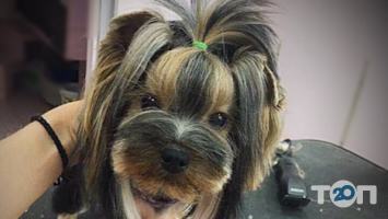 відгуки про Center ZOO фото