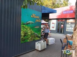 Шлях Київ фото