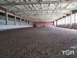 Школа верхової їзди Марії Бродською Львів фото