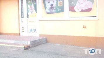 Ветеринарна аптека, зоомагазин у Наталки фото