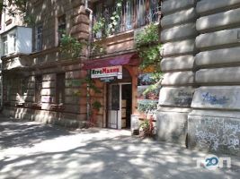 Ігроманія Одеса фото