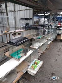 Пташиний Ринок Дніпро фото