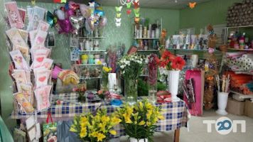 Ditsan flowers відгуки фото