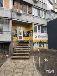 Шиншилка відгуки фото