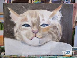 Риба Київ фото