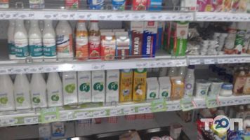 Честор Одеса фото