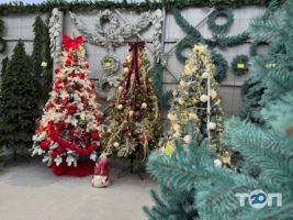 отзывы о Прагматек фото