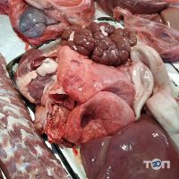 Ніка Новомосковськ відгуки фото