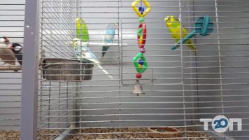 Master Zoo відгуки фото