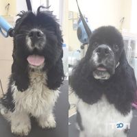 відгуки про Master Zoo фото