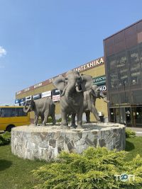 відгуки про Three elephants фото