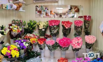Магазины цветов Fiori фото