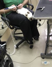 Зоомагазини і послуги для тварин Master Zoo фото