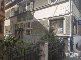 Софора Черновцы фото