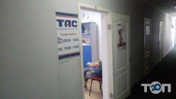 Тас Лайф, страховая компания фото