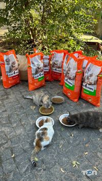 відгуки про Зоомагазин 101Далматин на Салтівці/Інтернет магазин фото