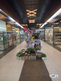 M10 відгуки фото