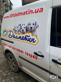 Зоомагазин 101Далматин на Салтівці/Інтернет магазин відгуки фото