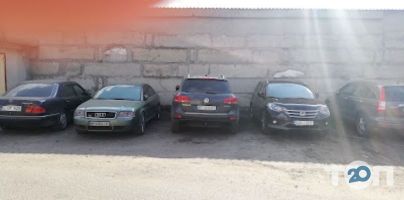 Чайка Одеса фото