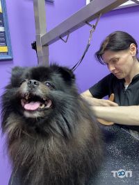 відгуки про Wow фото