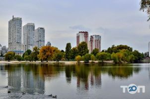 Березняки, фермерський ринок фото