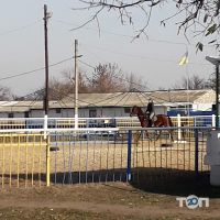 Іподром в комплексі Княжий двір Одеса фото