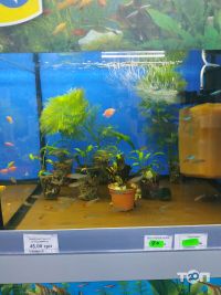 відгуки про EuroZoo фото