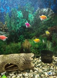 EuroZoo відгуки фото