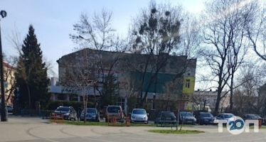 Сircus отзывы фото