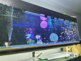 Zoomarket, зоомагазин фото