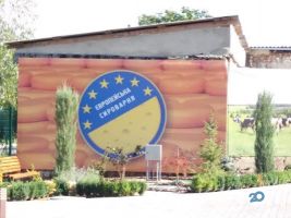 Європейська Сироварня, магазин сирів фото