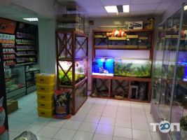 Немо, зоомагазин фото