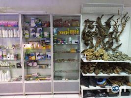 Немо Кривий Ріг фото