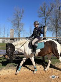відгуки про Кінний Дворик на Центральній фото