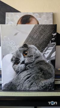 PRESENT4U Чернівці фото