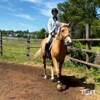 Кінний Дворик на Центральній відгуки фото