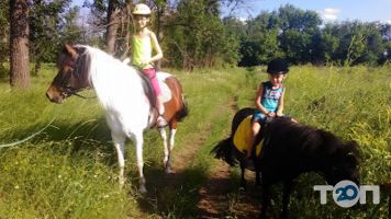 Кінний Дворик на Центральній Кривий Ріг фото