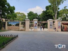 Літній театр GORSAD фото