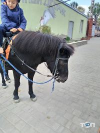 Спортивні секції Кінний Дворик на Центральній фото