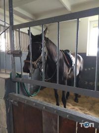 Кінний Дворик на Центральній фото