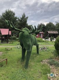 відгуки про Дніпро Вояж фото