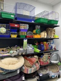 Зоомагазини і послуги для тварин Беллі Zoo фото