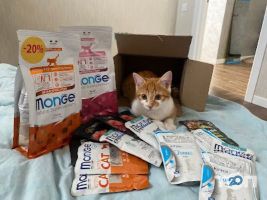 Зоомагазини і послуги для тварин Shop pet petslike.net фото